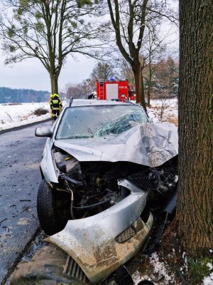 Zdjęcie przedstawia samochód po zderzeniu z drzewem.