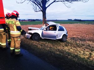 Zdjęcie przedstawia srebrny samochód po zderzeniu z drzewem.