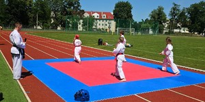 Zdjęcie kolorowe przedstawiające dzieci ćwiczące sztuki walki.