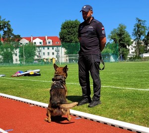 Zdjęcie kolorowe przedstawiające funkcjonariusza Służby Więziennej z psem służbowym.