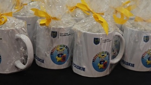 Zdjęcie przedstawia gale zakończenia programu "Przedszkolak ratuje"