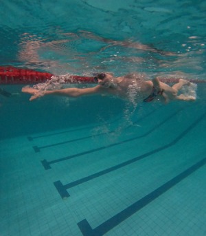 Zdjęcie przedstawia zawody pływackie.