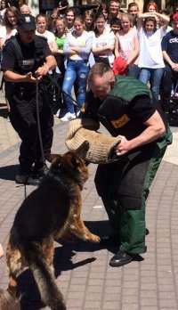 policjant z psem służbowym podczas pokazu agresji
