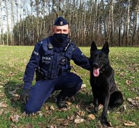 Zdjęcie przedstawia policjanta z psem służbowym. Czarny owczarek niemiecki siedzi obok swojego przewodnika.