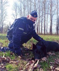 Zdjęcie przedstawia czarnego owczarka niemieckiego, który lezy na ziemi, obok niego klęczy policjant.